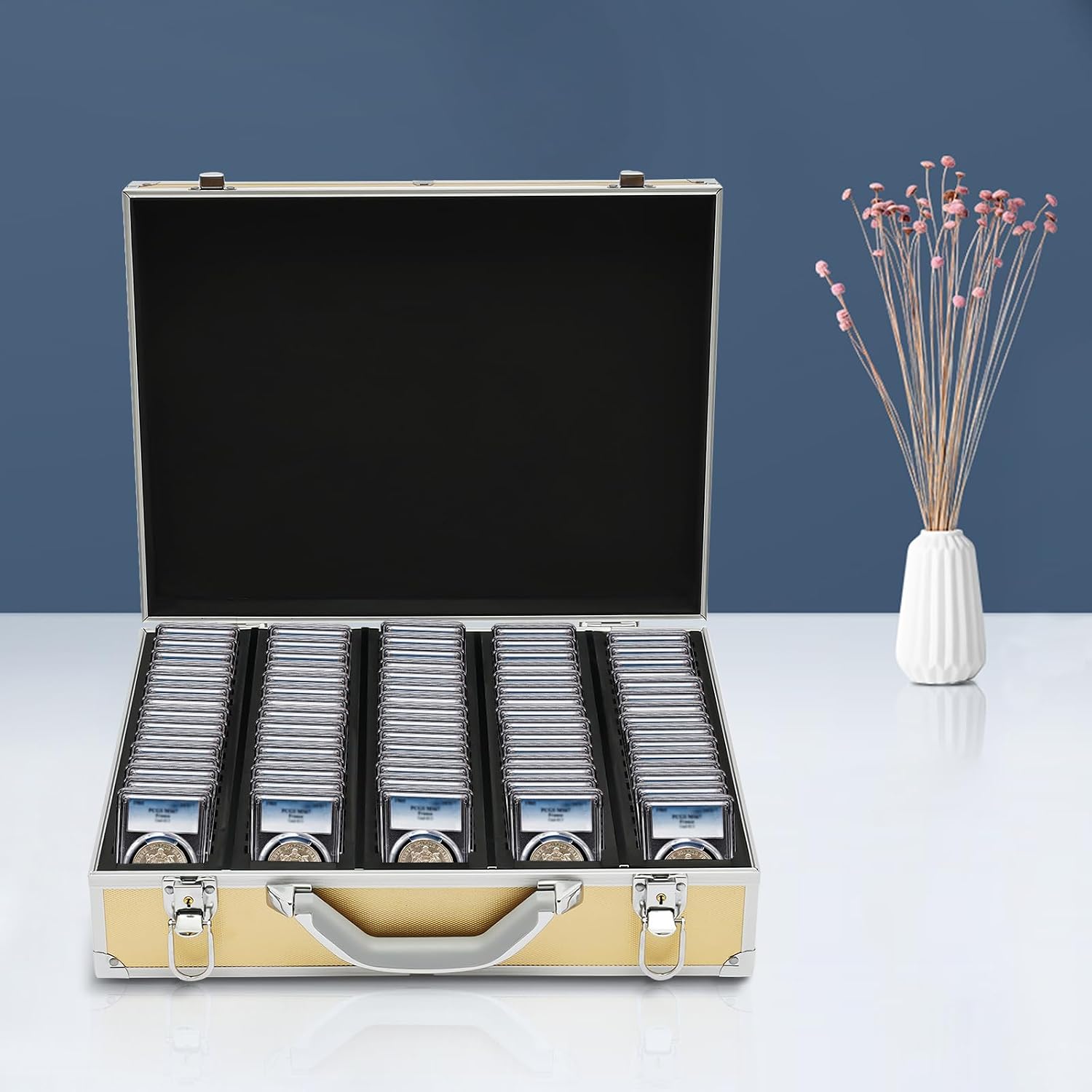 Coin Storage Box Coin Display Box Case Portable Coin Collection Storage Coin Slab Storage Case Holds 100 Coin with Key for Coin Collectors Gold