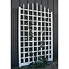 Product Photo 9