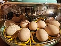 Review Image by Dallas McNeill Dallas McNeill