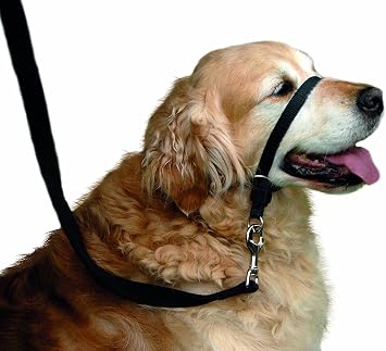 BARKELSS Dog Head Collar, Adjustable Padded Dog Halter to Stop Pulling, Gentle Control on Walks, Includes 1 Leash & Training Guide