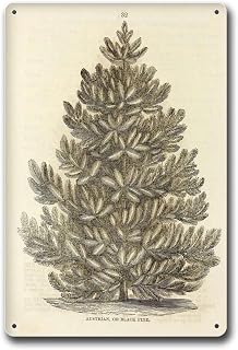 GHTYER Tin Signs Austrian Or Black Pine Art Museum Quality Art Home Wall Decor Suitable for Home Bar Cafe Farmhouse Decoration8x12inch Tin Sign