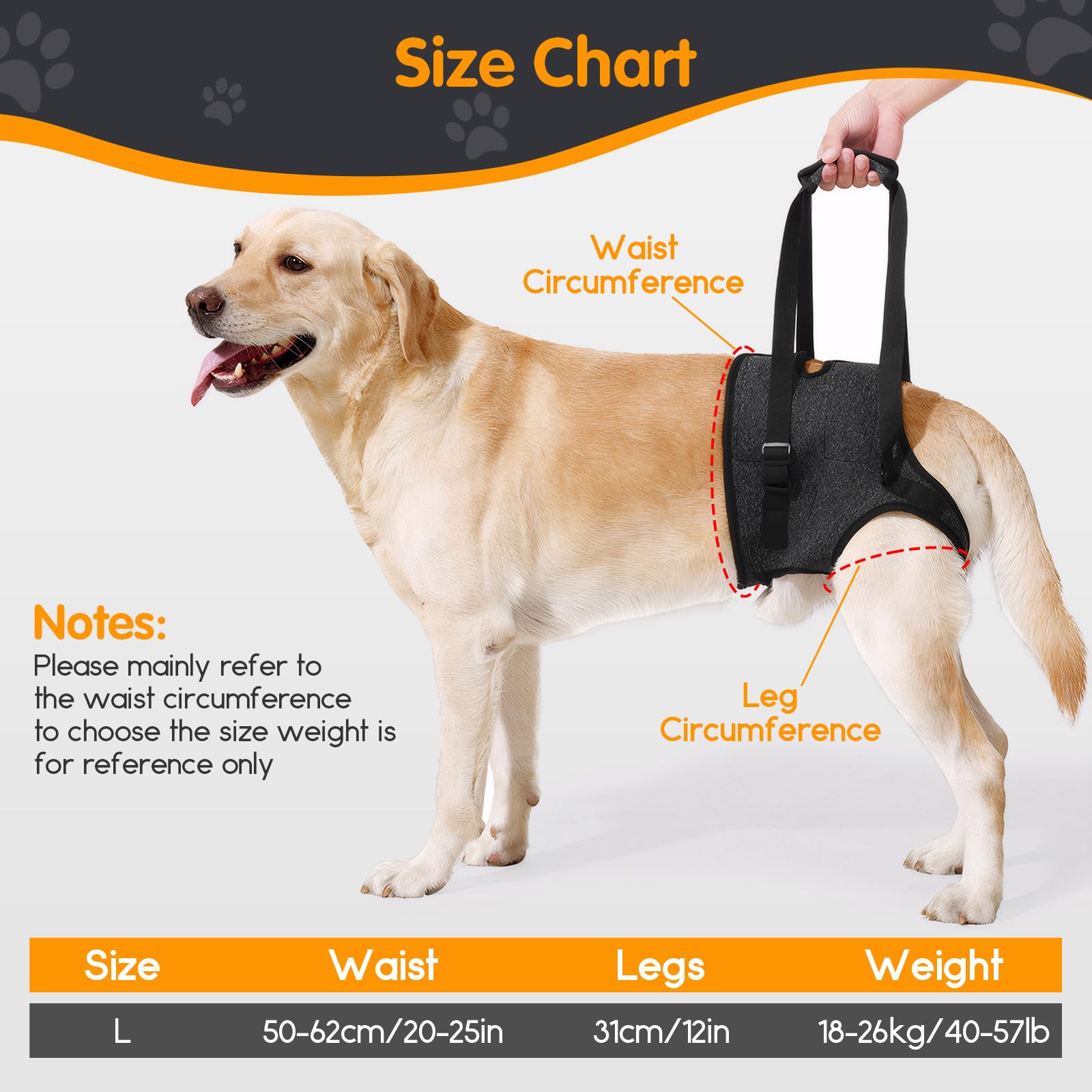 Dog Lifting Harness for Back Legs Support,Adjustable Hind Leg Sling for Large Medium Dogs,Dog Support Harness for Back Legs,Mobility Aid for Elderly Disabled Pets,Walking Stair Climbing Assistance(L) - Image 4