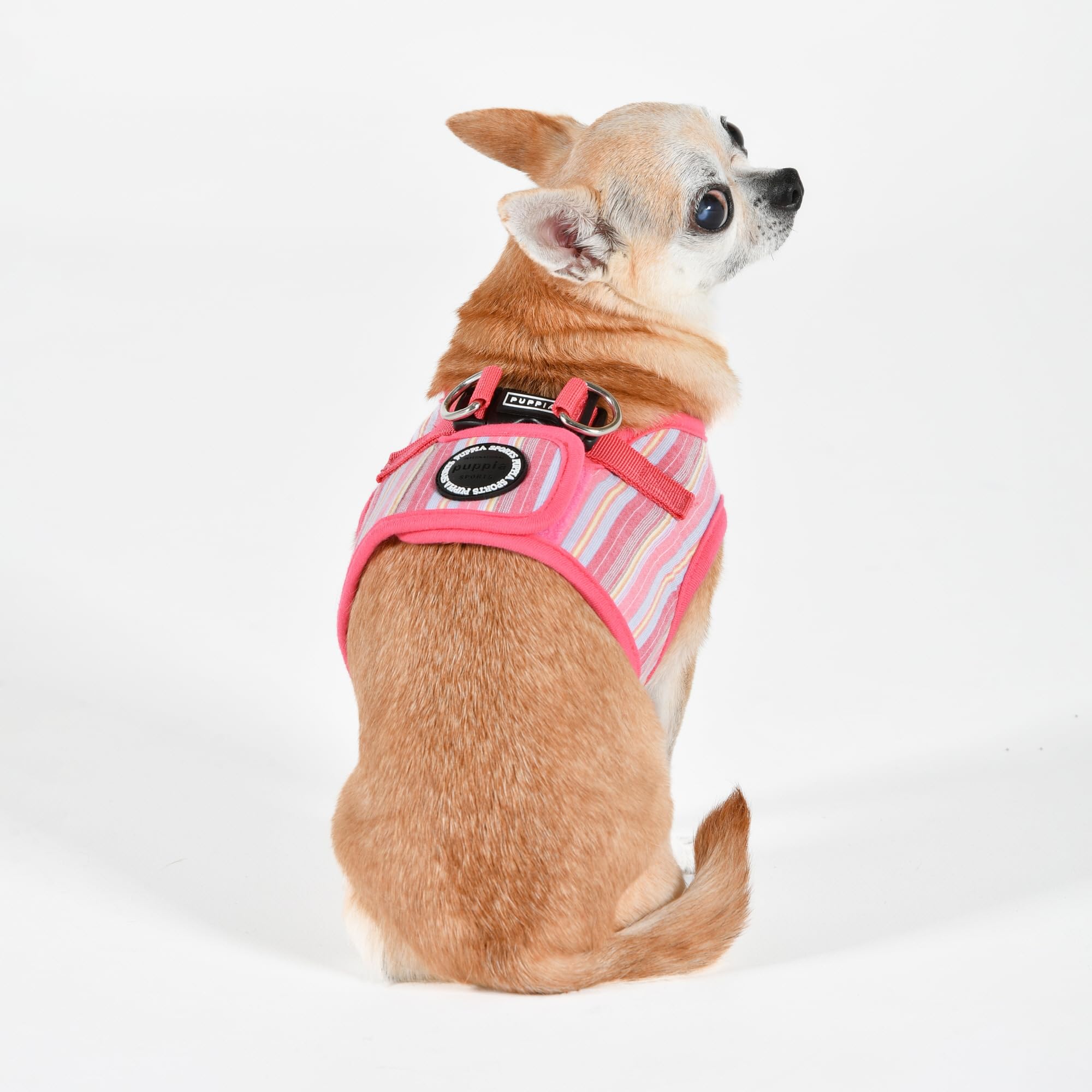 Puppia Theros - Arnés B de chaleco para perro, arnés de moda con patrón de rayas para primavera y verano, para perros pequeños y medianos, rosa, mediano