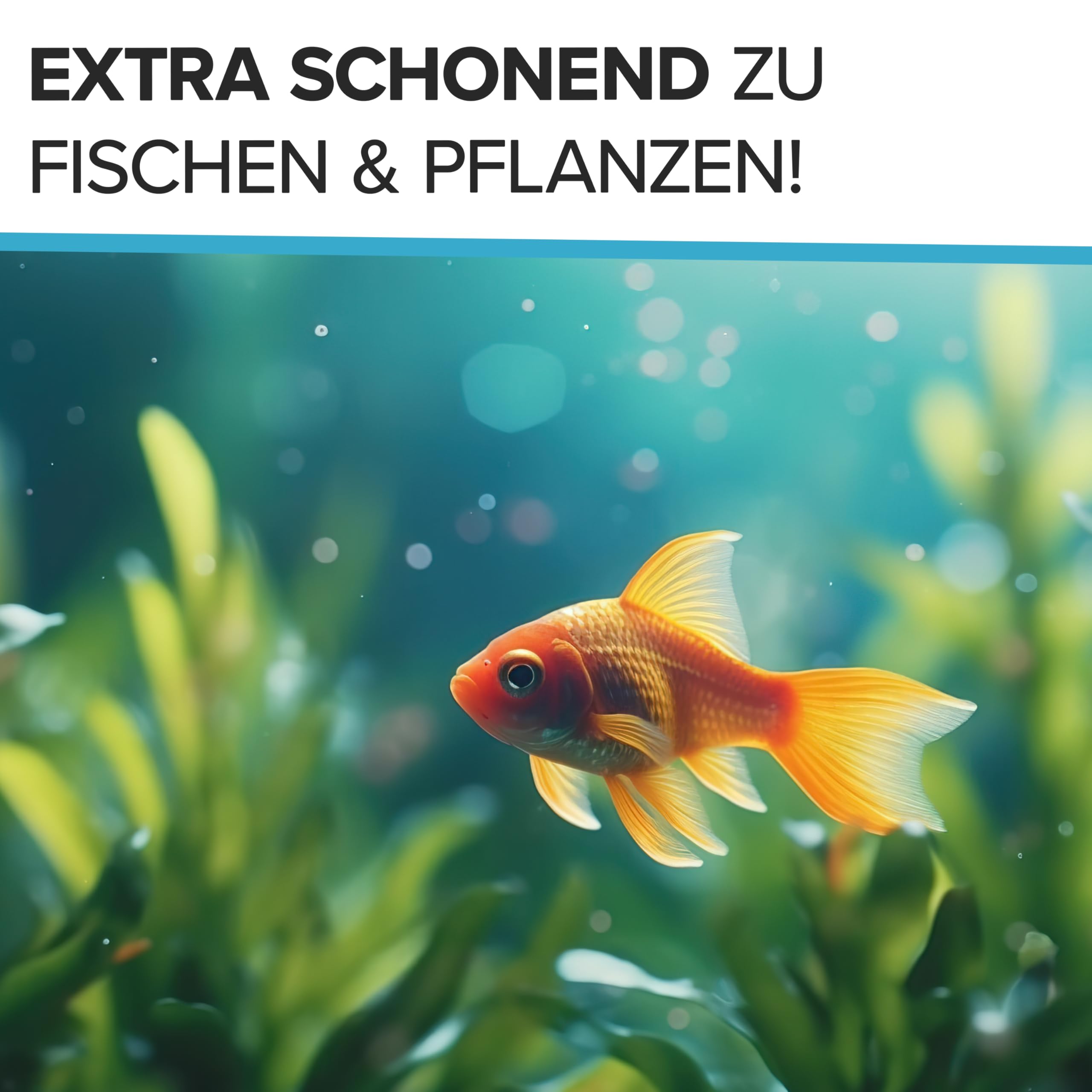 Teichklar 10L I Hocheffektive Teichpflege & Brunnenreiniger I Algenvernichter für Teich und Brunnen I Teichklärer sorgt für klares Teichwasser und schont Fische und Pflanzen