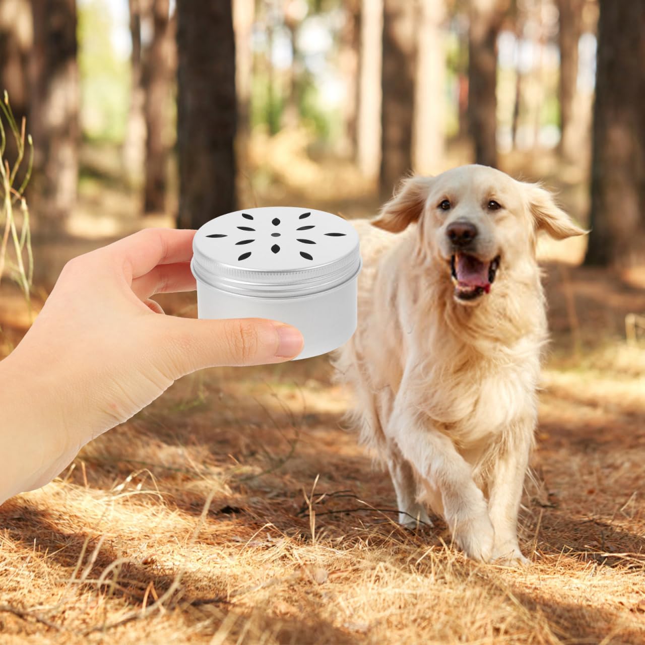 WOONEKY Lot de 10 récipients de dressage pour chien - En métal - Avec couvercle - Pour odeur de chien - Boîte à renifler - Boîte d'entraînement pour chien - Aromathérapie - Travail