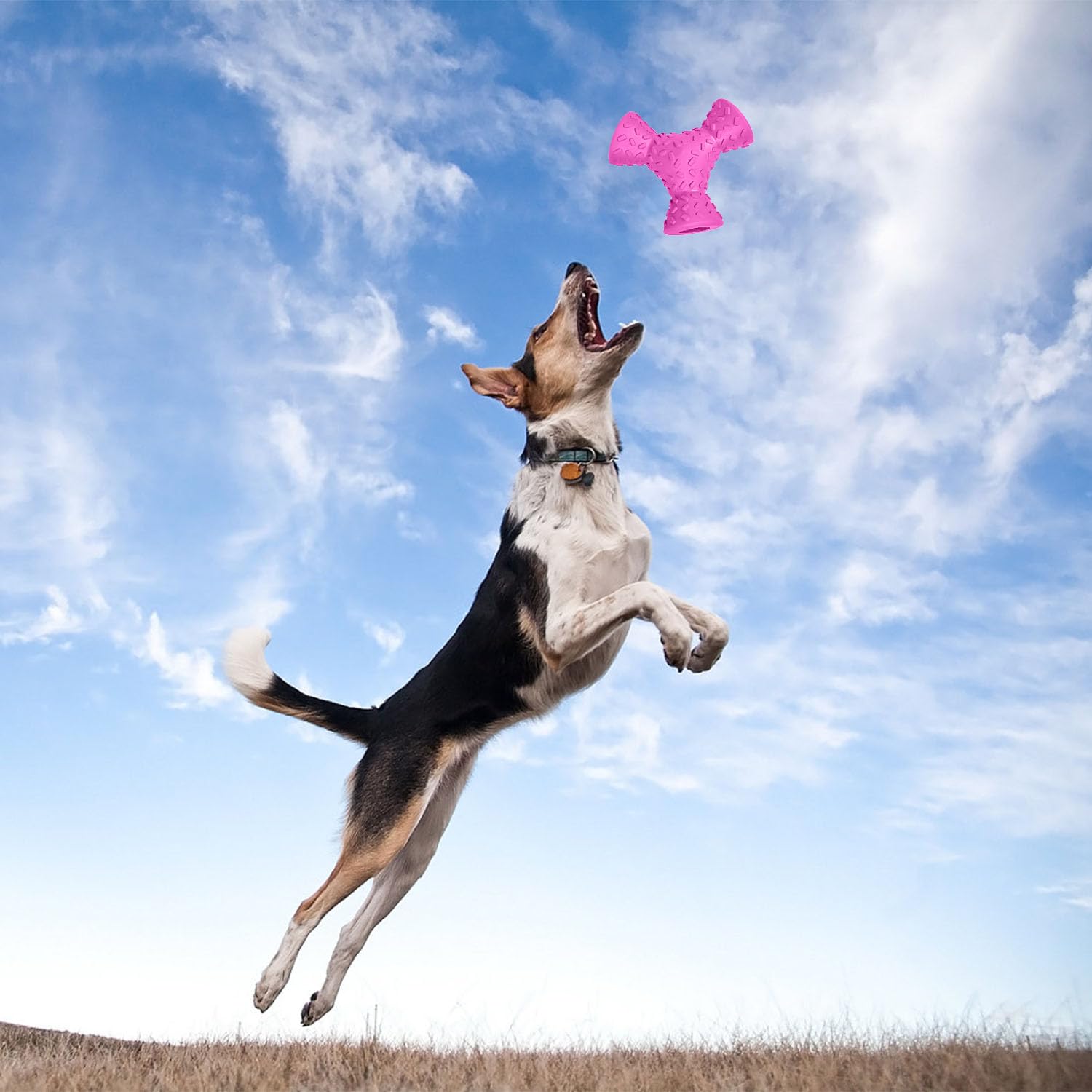 Autoau Giochi per Cani Indistruttibile Giochi Cane de Masticare per Pulizia Denti Giochi Interattivi Cani in Gomma Naturale, Pet Food Palla per Cane Aggressivi di Media e Grande Taglia