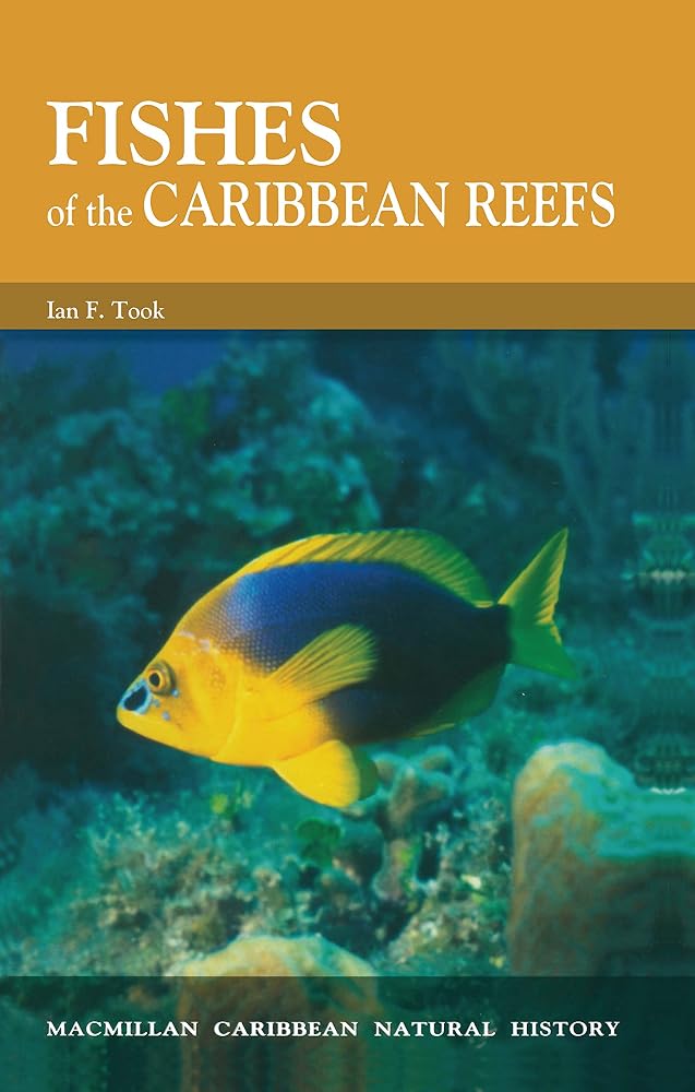 Fishes of the Caribbean Reefs (Macmillan Caribbean Pocket Natural History)