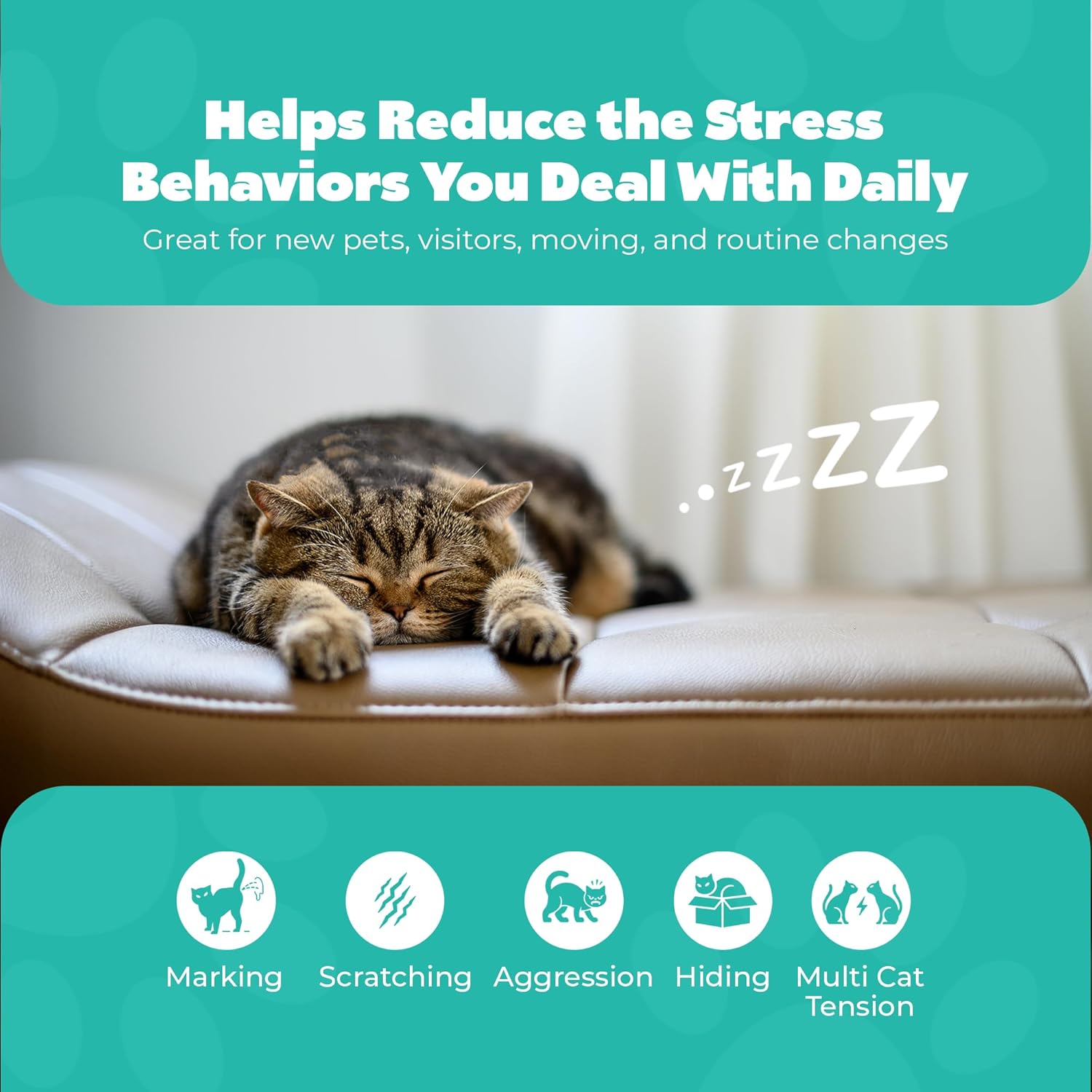 Rechargeable Cat Calming Pheromone Diffuser Kit, 60 Day Supply, No Burning Smell, Helps Reduce Stress, Scratching & Spraying