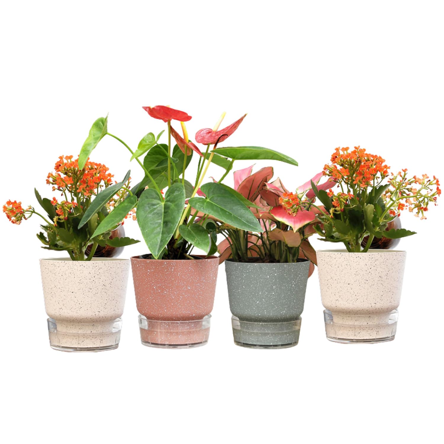 UMAI Self Watering Plant Pot - 5.5 inches (14.5 cm) Plant Pots | Plastic Automatic Watering Planters for Indoor, Outdoor, ...