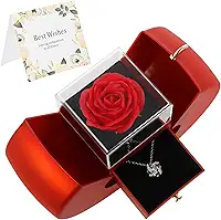 Colar de rosa vermelha artesanal preservada com clavícula oca, rosa real preservada, caixa de joias com colar para namorada, esposa, mãe, presente no aniversário de Natal, aniversário, plástico
