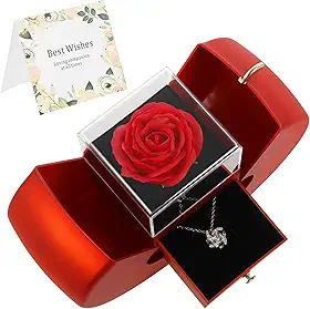 Colar de rosa vermelha artesanal preservada com clavícula oca, rosa real preservada, caixa de joias com colar para namorada, esposa, mãe, presente no aniversário de Natal, aniversário, plástico
