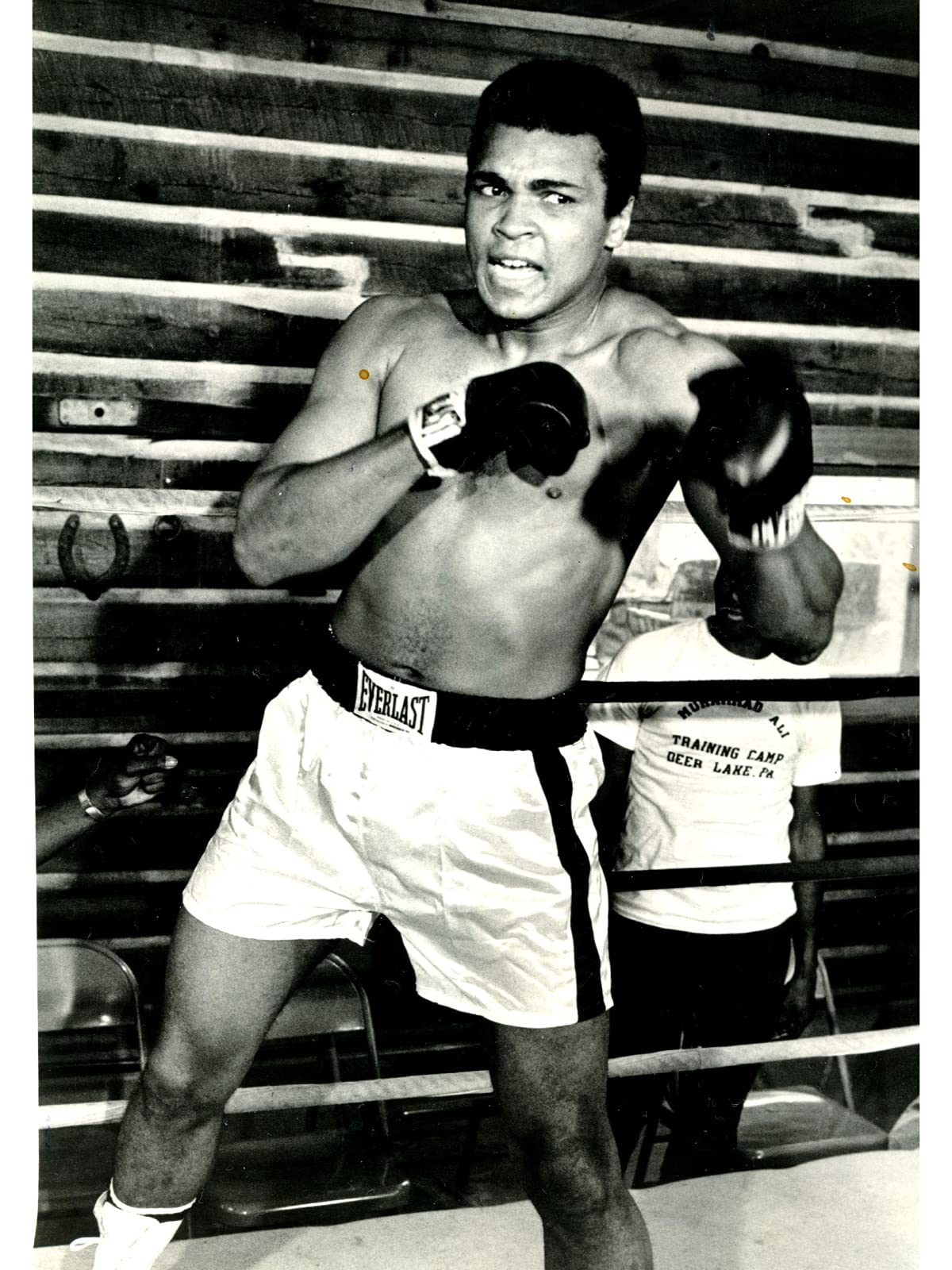 Wowposters Muhammad Ali Poster - 21X30 Cm
