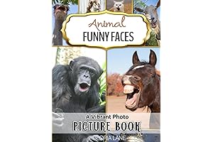 Animal Funny Faces Vibrant Photo Picture Book