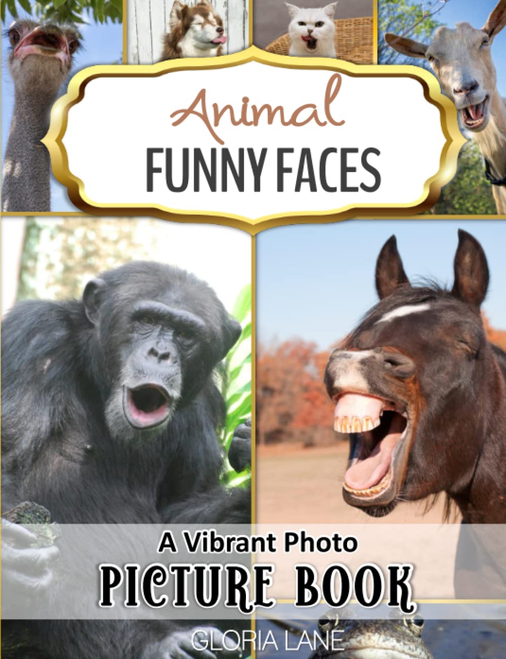 Animal Funny Faces Vibrant Photo Picture Book: for Seniors with Alzheimer’s and Dementia Featuring Hilarious Critters tol Make You Laugh Out Loud!