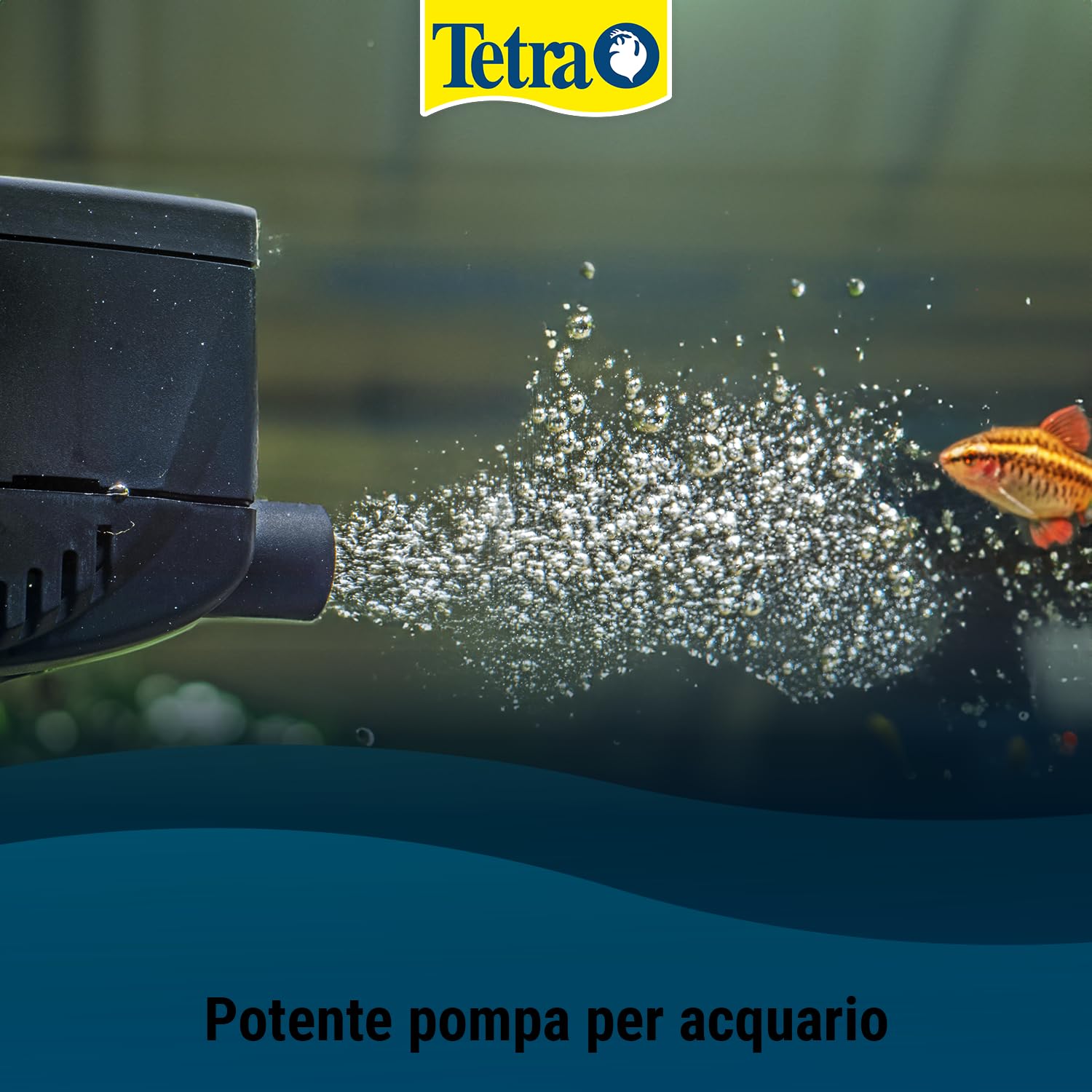 Tetra WP Pompa per Acquari di 10-80 L