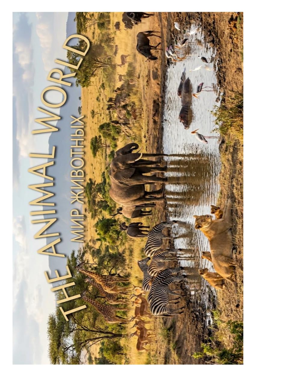 The animal world coloring book: A world of animals coloring book for children