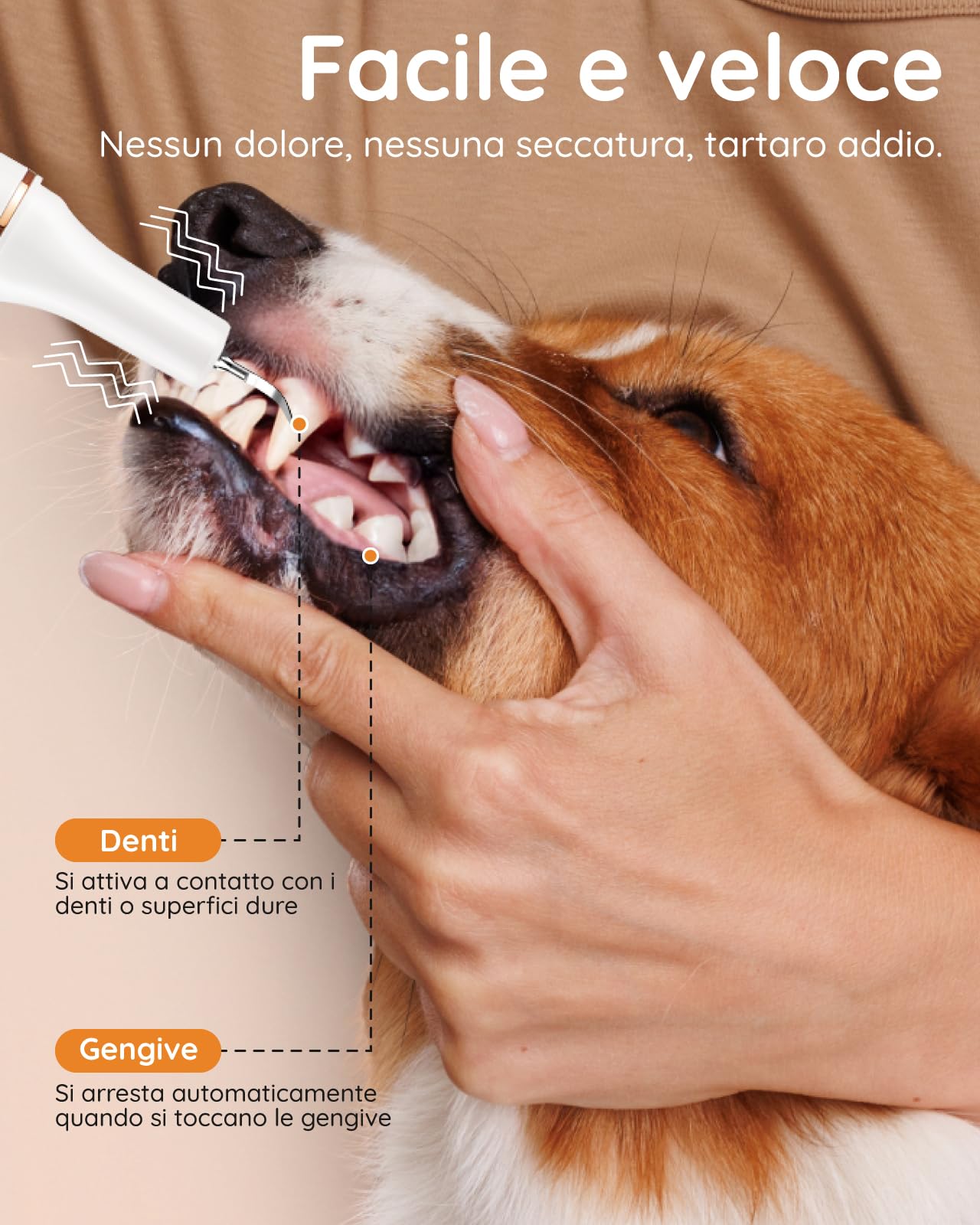 Petbank Kit Pulizia Denti Cane 14-in-1 - Spazzolino Ultrasuoni Cani con Luce LED, 5 Modalità di Spazzolino Denti Cane, USB Ricaricabile Spazzolino per Cani con Scaler Scraper