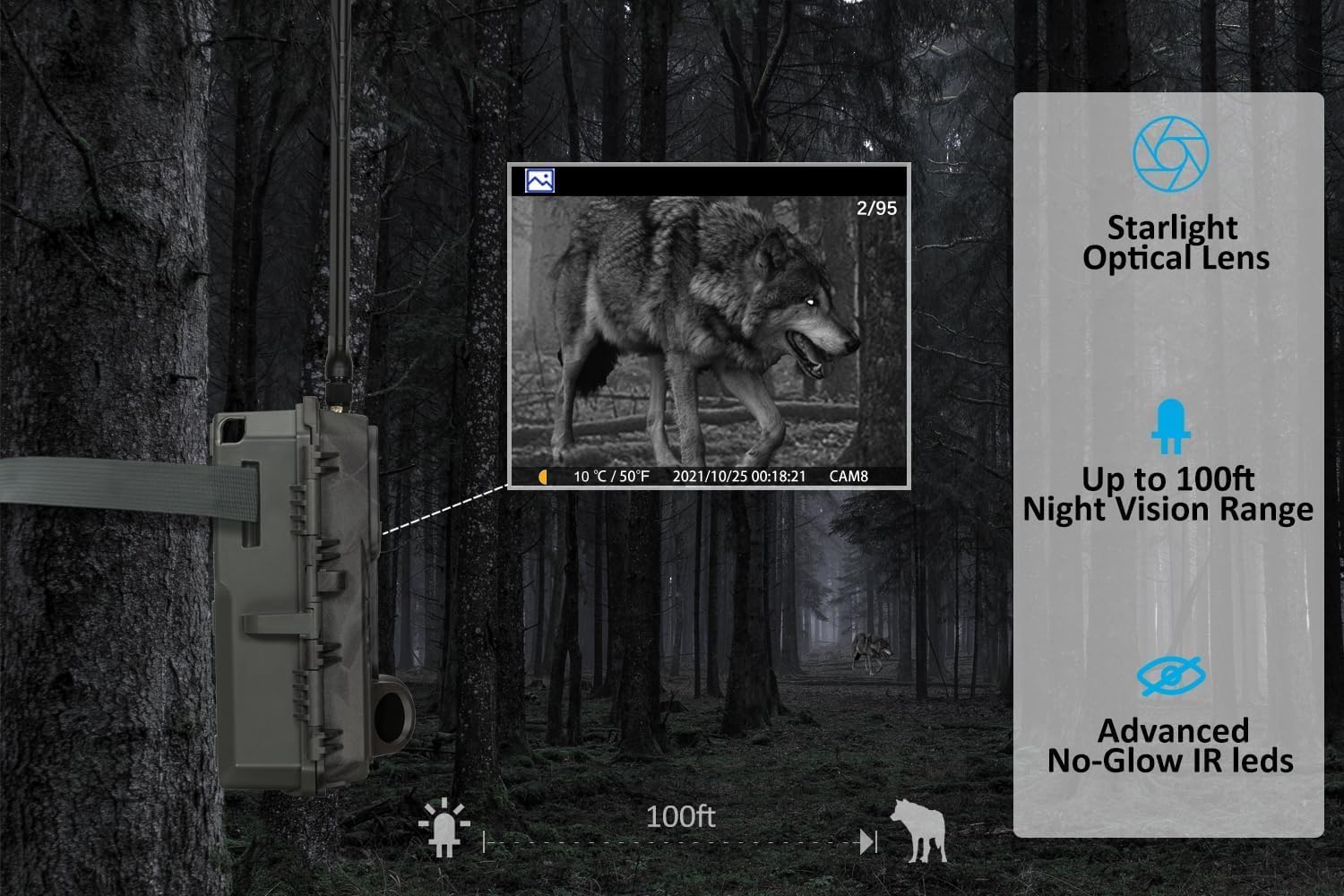 Meidase S950 camera displaying a clear night vision image of a wolf in a forest, with text indicating Starlight Optical Lens, 100ft Night Vision Range, and Advanced No-Glow IR LEDs.