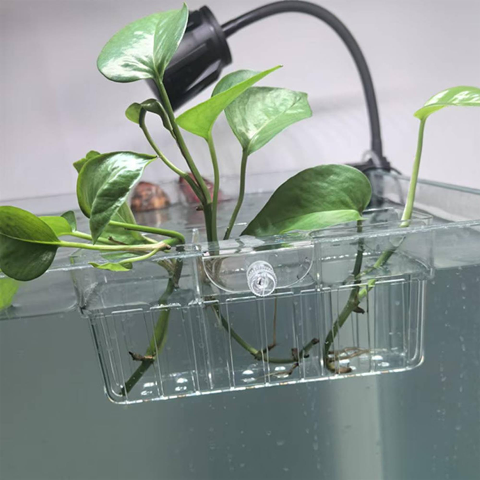 Lot de 2 supports de plantes d'aquarium à 3 cellules, support pour plantes d'aquarium, pot de fleurs suspendu pour aquarium, aquarium, décoration d'aquarium