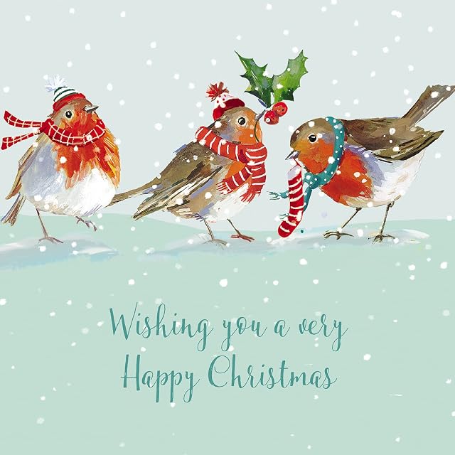 Ling Design Pack of 6 Charity Christmas Cards - 'Christmas Robins' - Lovely Design with Robins in the Snow - 6 Cards of 1 Design, Multi, 146 x 146 x 14mm