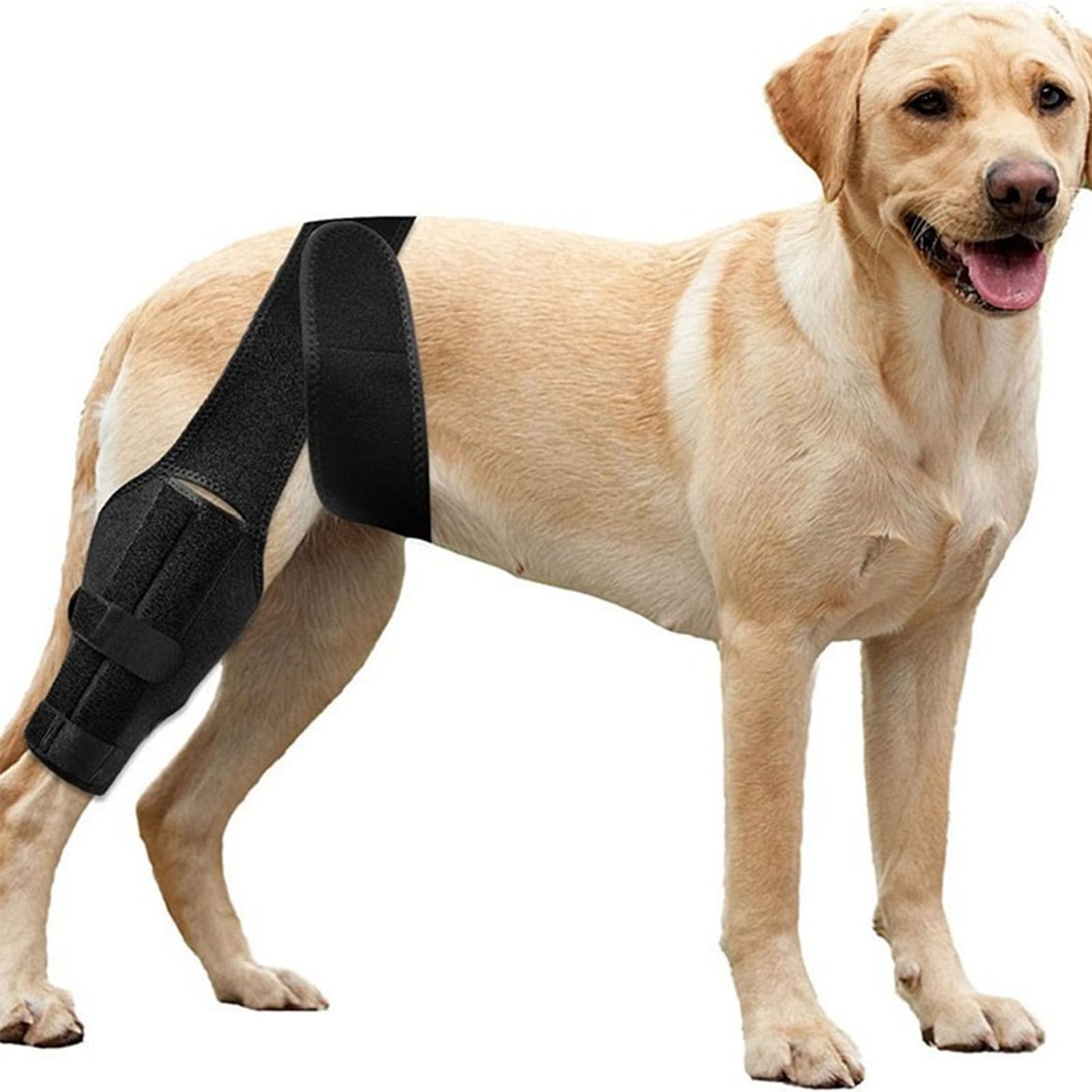 Oreilet Dog Knee Braces for Back Leg, Adjustable Dogs Brace Hind Leg Support Wrap Harness for Recovery, Rear Support for Joint Pain Relief, Anti Licking (S)