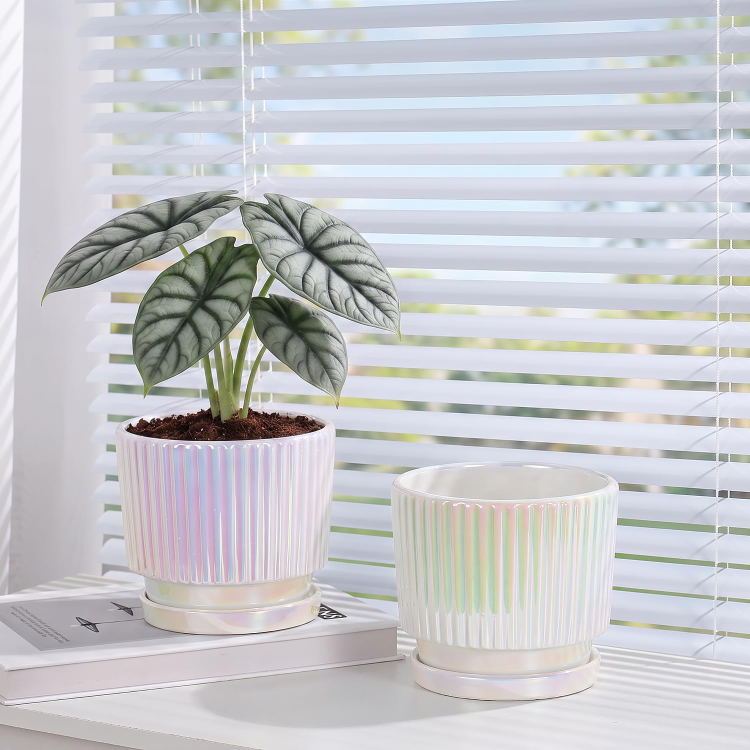 Lot de 2 pots de fleurs en céramique avec trous de drainage et soucoupe