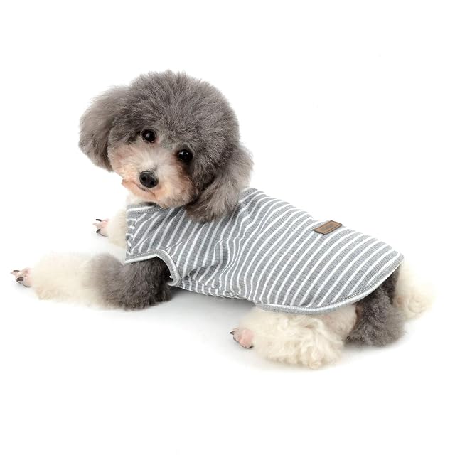 Foto 7 de 8 de Ranphy Camisa de algodón a rayas para perros, ropa para cachorros, ropa para perros pequeños