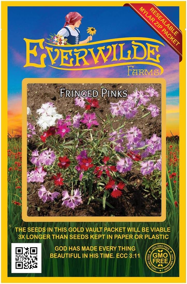 Everwilde Farms - 1/4 Lb Fringed Pinks Wildflower Seeds - Gold Vault