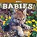 Wolf Babies!