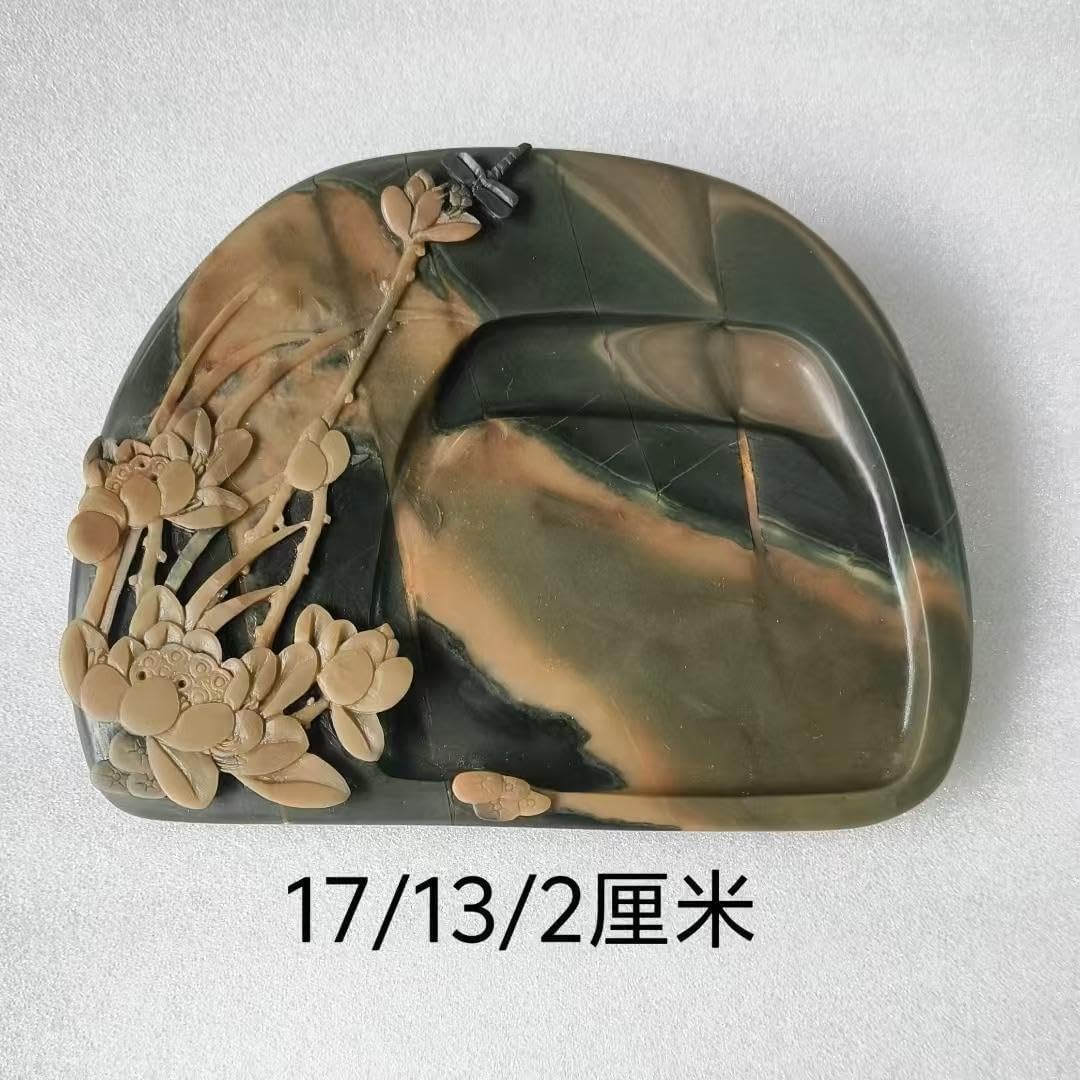 パキポディウム グラキリス 【公式通販】 パキポディウム グラキリス