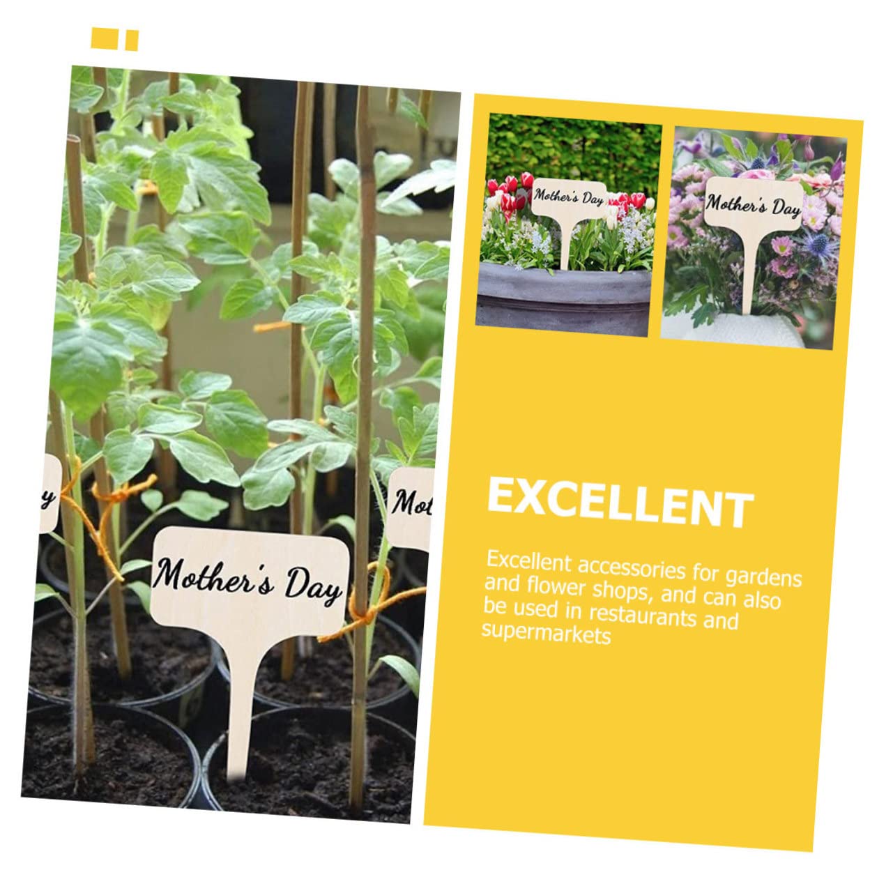 Milisten 4 ensembles Étiquette De Jardinage Nom Plante Piquets Plantes Petites Jardinières Étiquettes De Jardin Étiquettes Blanches Imperméables Pour 20 pièces * 4