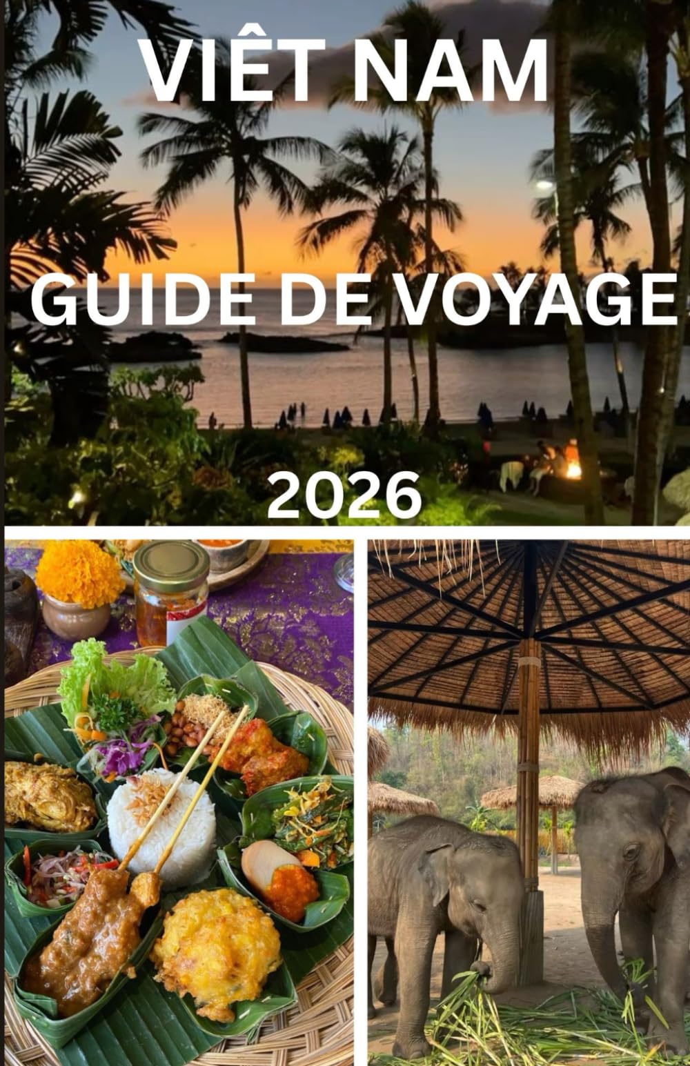 Viêt nam Guide de voyage 2026
