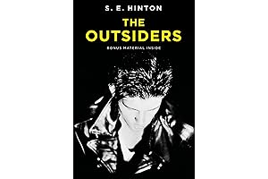 The Outsiders: A Timeless Tale of Identity, Loyalty, and Rebellion