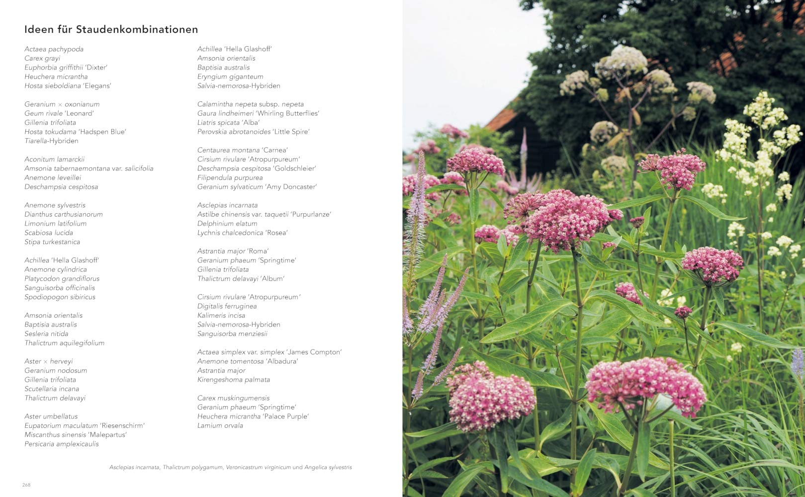 Gärten inspiriert von der Natur: Die schönsten Stauden und Gräser. Button: Piet Oudolfs Hauptwerk - völlig neu aufbereitet und praxisnah