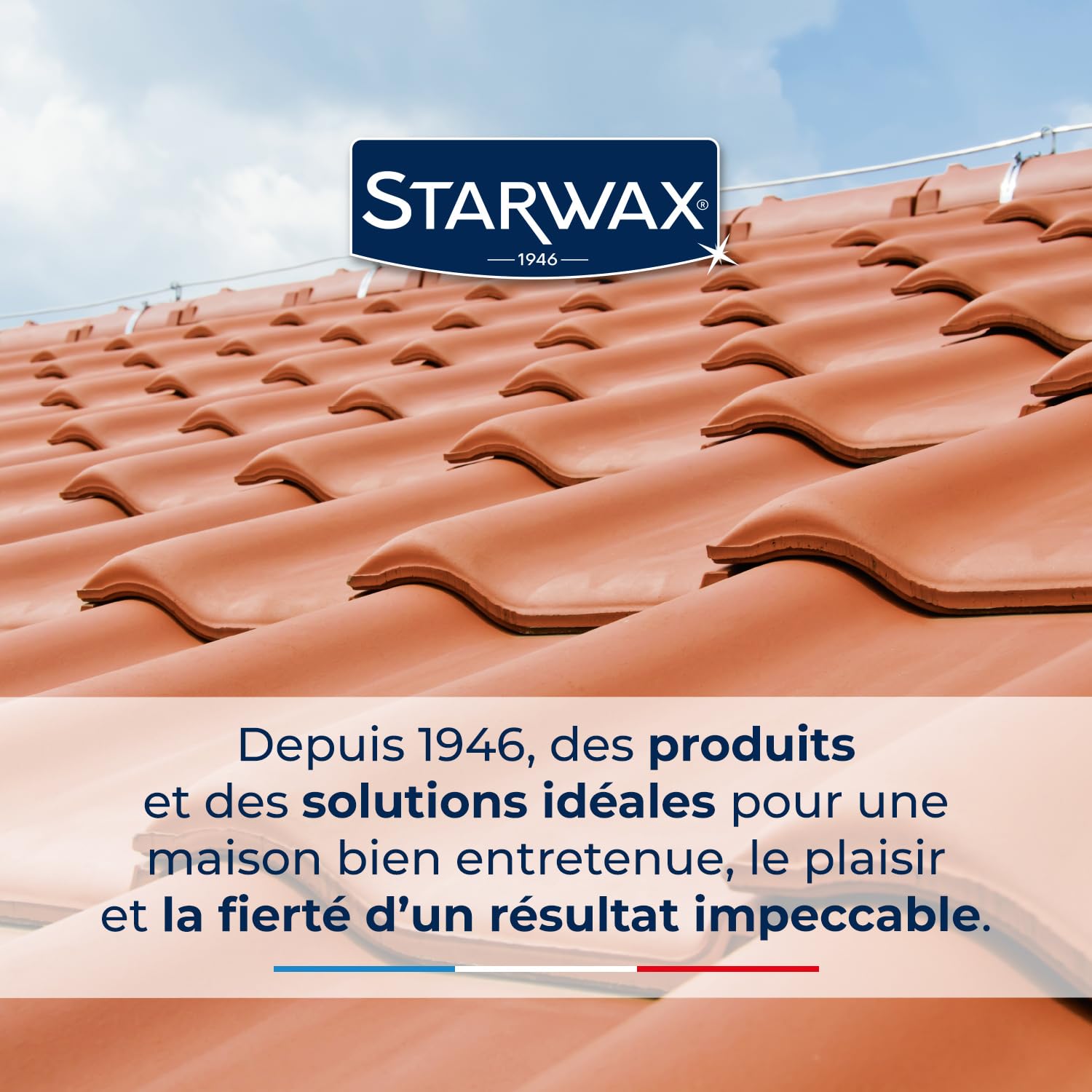 STARWAX Destructeur Tout en un de dépôts verts rouges lichens et traces noires 10L, prêt à l'emploi, toitures murs et sols extérieurs, algicide curatif et préventif, sans javel, rendement 10m²/L