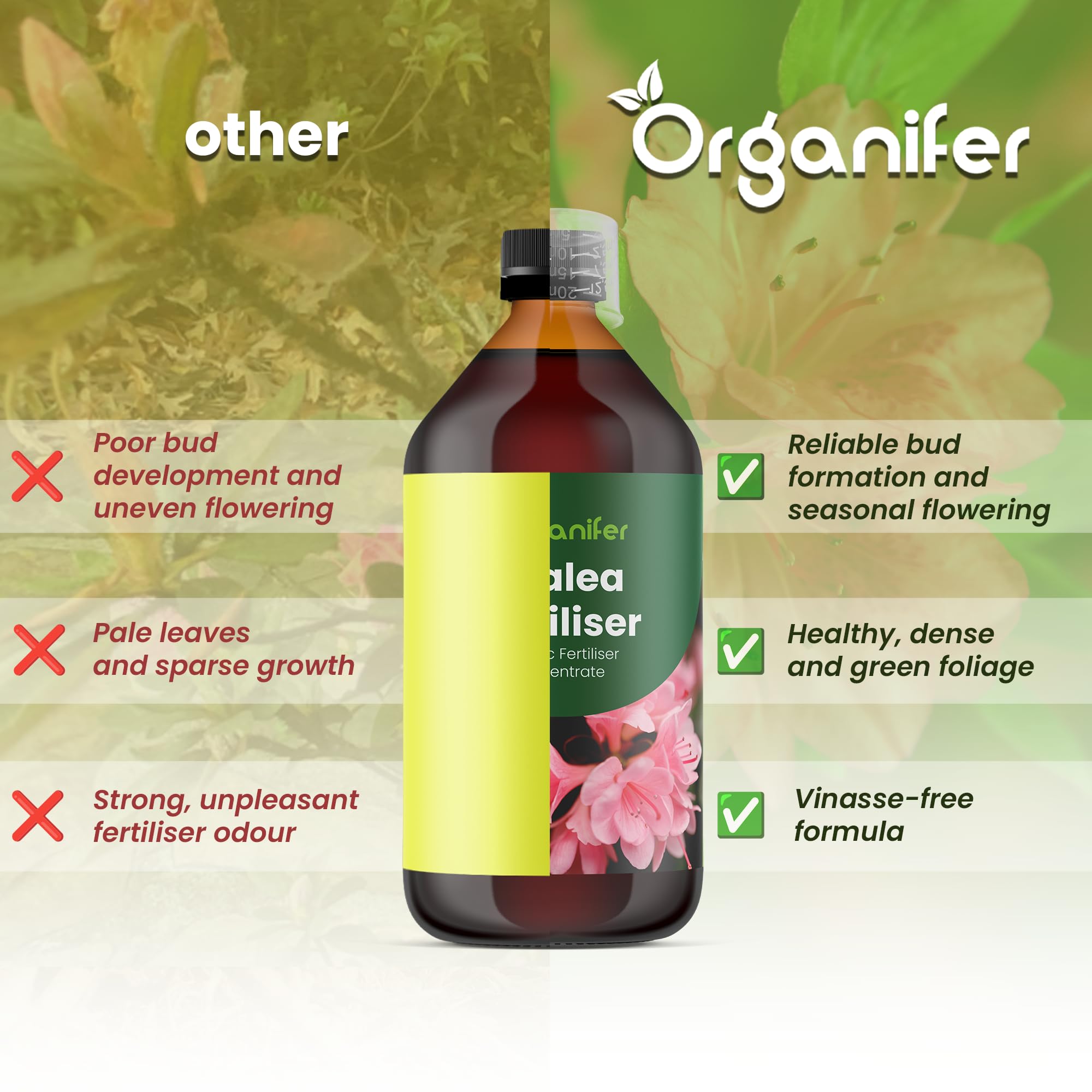 Fertilizante Líquido Para Azalea - 10L - NPK 3-4-3 | Fertilizante Para Floración Abundante Y Hojas Sanas - Favorece Vitalidad Y Raíces Fuertes - Organifer