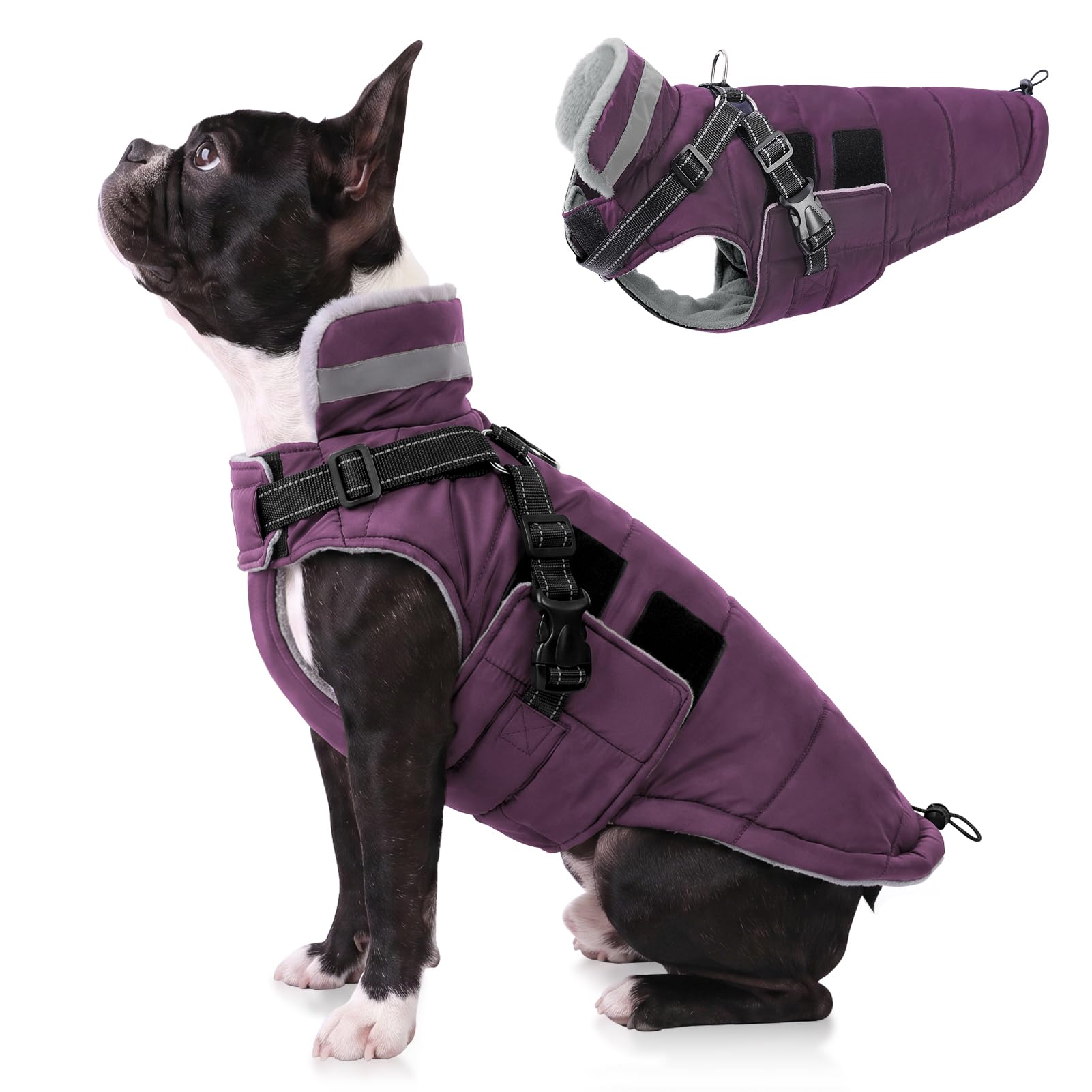 Queenmore Dog Coats Waterproof Medium, Dachshund Coat with Harness