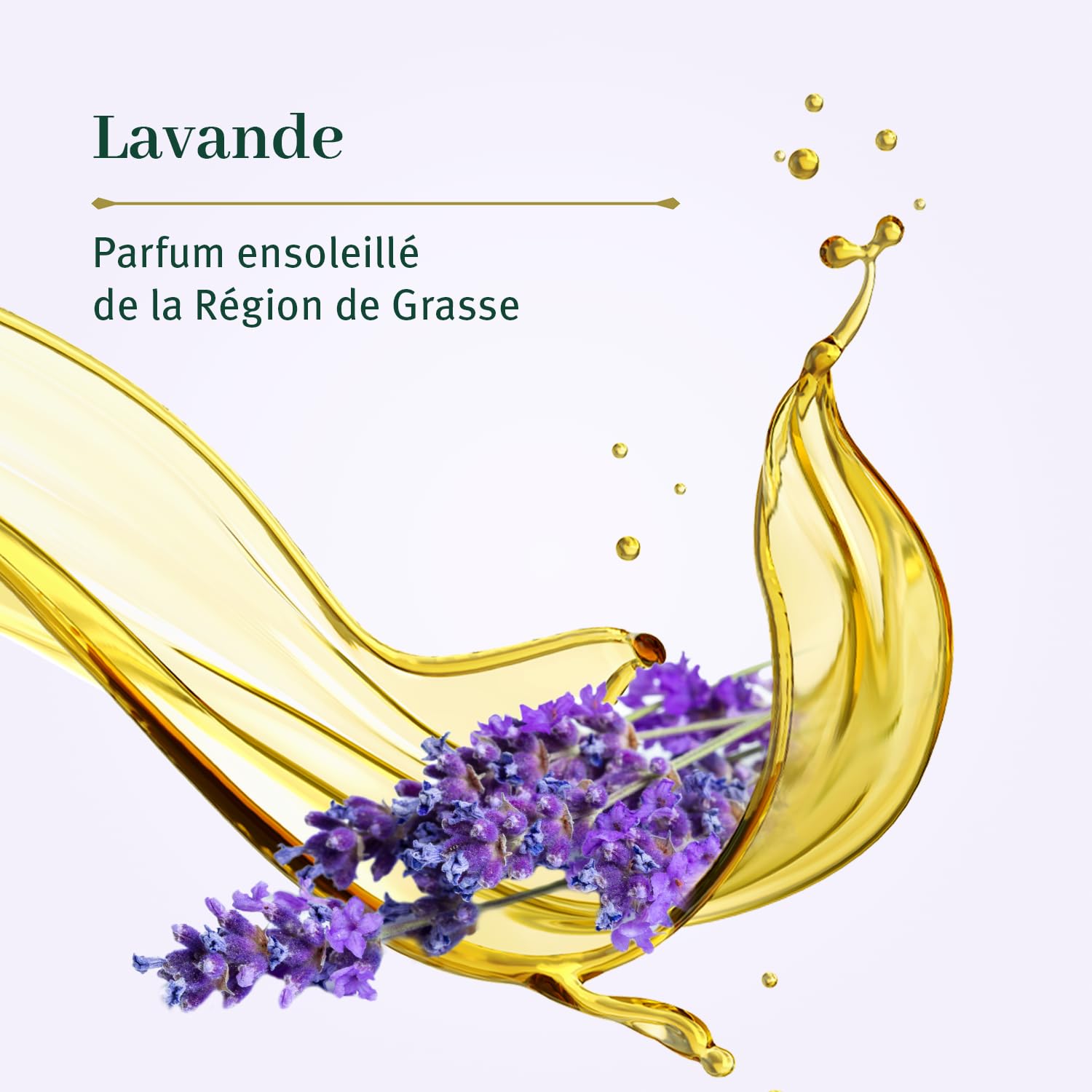 LE PETIT OLIVIER - Zestaw 12 - Czyste mydło w płynie z Marsylii - Zapach lawendy z regionu Grasse - Delikatnie oczyszcza skórę - 95% naturalnego pochodzenia - Wyprodukowano we Francji - 300ml