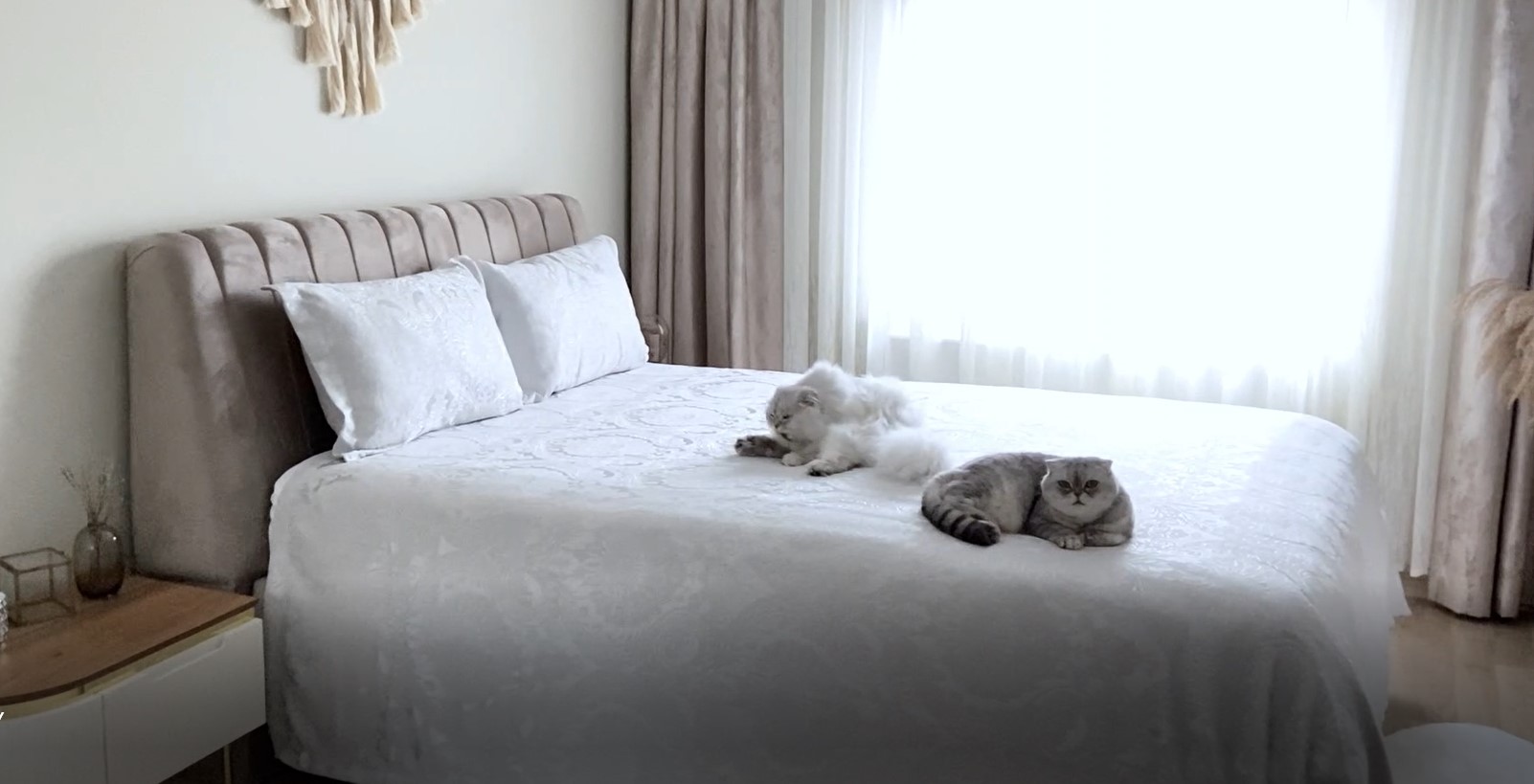 Elart Bettüberwurf Set - Jacquard Chenille Tagesdecke 180x200cm