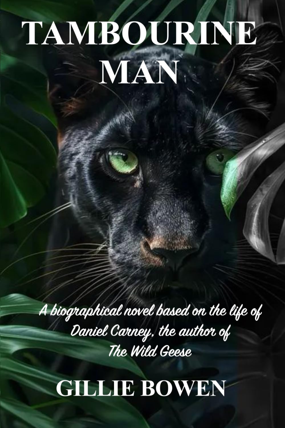 Tambourine Man: A biographical novel based on the life of Daniel Carney, the author of The Wild Geese