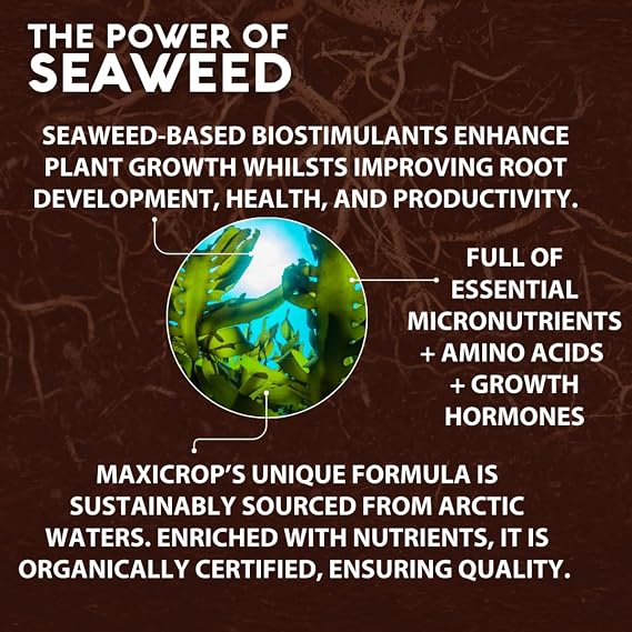 Maxicrop PPSI61L Sequestered Iron, 1L - Iron Infused Natural Seaweed Extract - Protects Against Yellowing - Supports Growth In Difficult Soil Conditions - Plant Nutrition, Blue