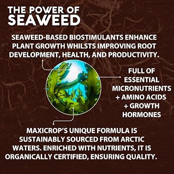 Maxicrop PPSI61L Sequestered Iron, 1L - Iron Infused Natural Seaweed Extract - Protects Against Yellowing - Supports Growth In Difficult Soil Conditions - Plant Nutrition, Blue