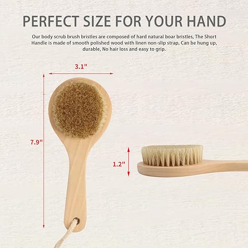 Miniatura 2 de OSLEN Cepillo seco con mango corto, cepillo de baño, cerdas naturales, cepillo exfoliante para piel seca, mejora la circulación, cepillo seco para