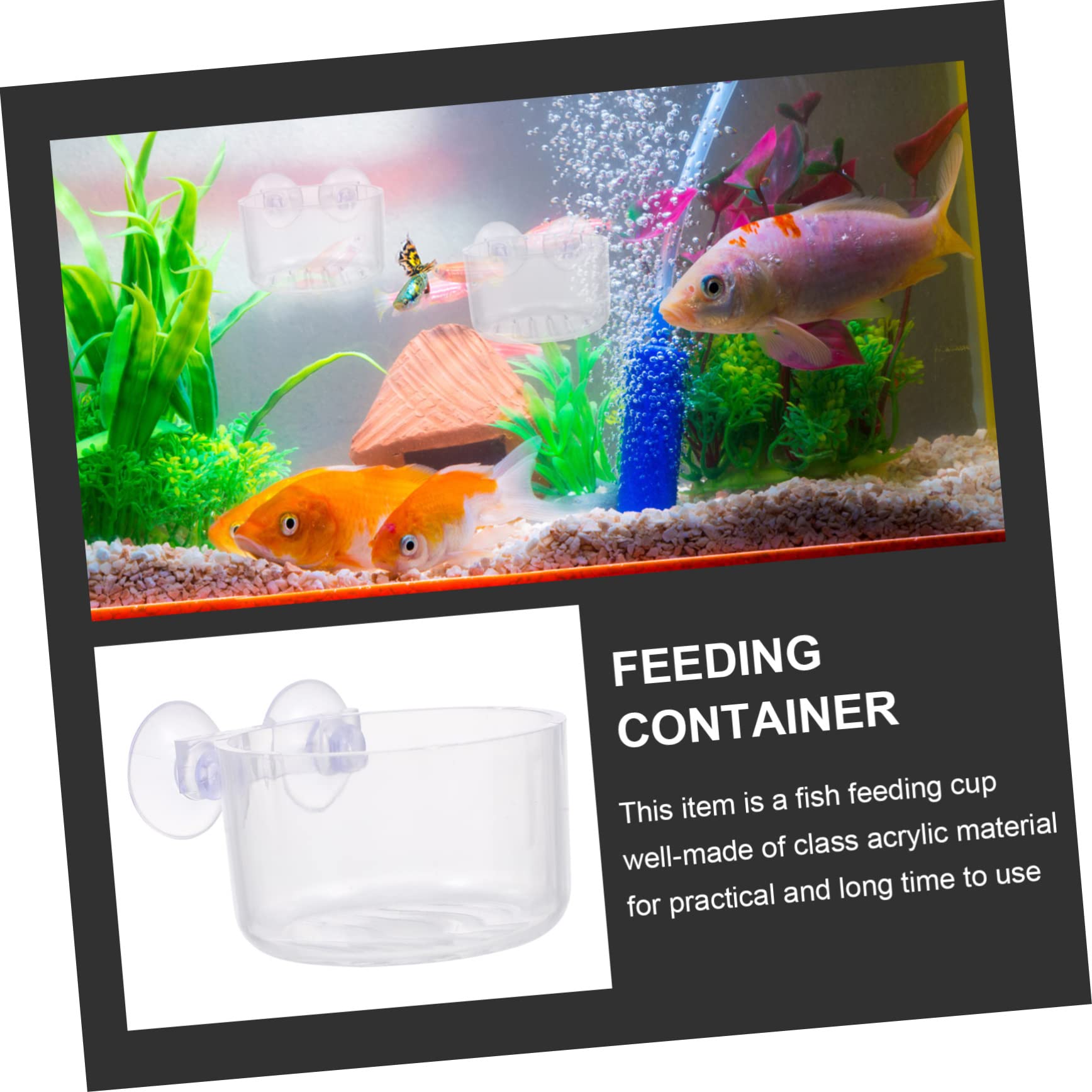 Toddmomy 16piezas Comedero para Peces De Acuario Taza Roja Acrílica Dispensador De Comida Unidades
