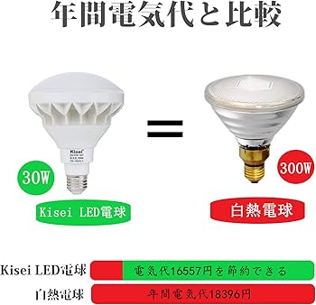長寿命型 LEDビームランプ 250W相当 E26口金 IP65 防水加工 Amazon | LEDビーム電球 IP65防水 超明るいタイプ 長寿命設計 140°広角