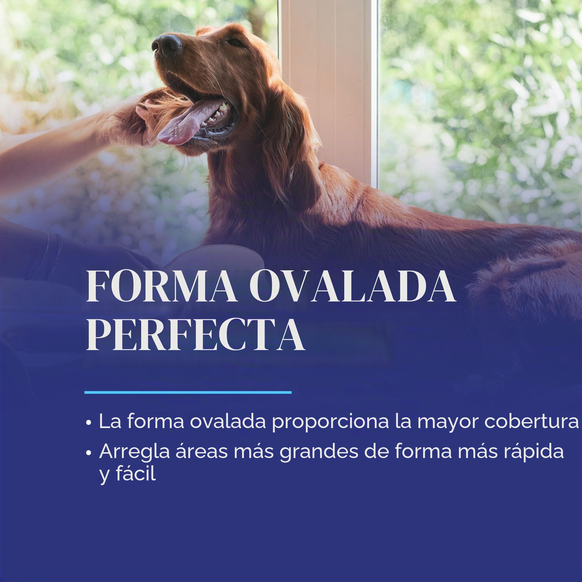 Chris Christensen Cepillo para Perro, Cepillo Ovalado de 20 mm, Serie Original, Groom Like a Professional, pasadores de Acero Inoxidable, Cuerpo de Madera de Haya Ligera, Puntas pulidas y pulidas