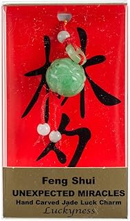 Zorbitz Inc. Feng Shui Luck Charms Unexpected Miracles, Acrylic, Multicoloured