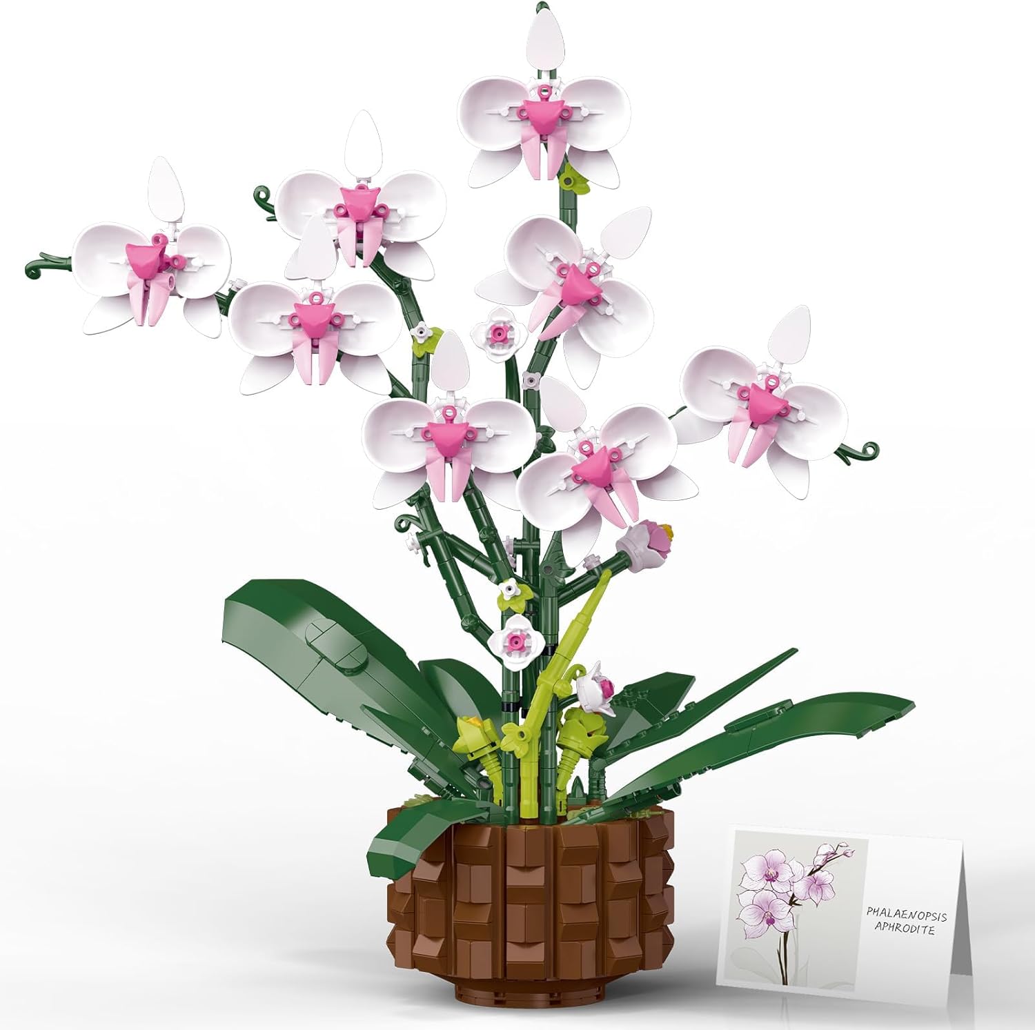 Orchid Building Set, Compatible with Lego Flowers for Adults,Gifts for Birthday Halloween &Christmas - Artificial Plant Home Decor