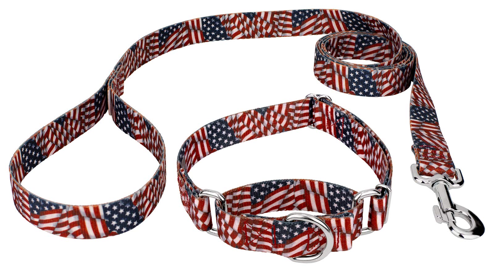 Country Brook Petz - Patriotic Tribute Martingale Dog Collar and Leash - Americana Collection Featuring Patriotic Designs (5/8 Inch, Small)