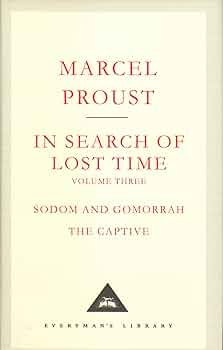 洋書 Marcel Proust In Search of Lost Time 71BgRhNF4lL._UF350,350_QL50_.jpg